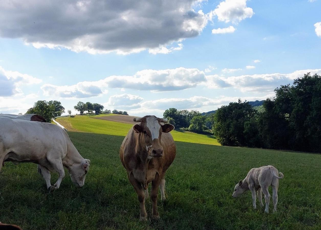 Les Gites De Campardon Monties Exterior foto